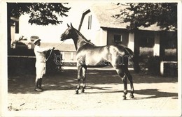 * T2 Kiszács, Kisac; Irmora Puszta, Ménes Farm / Stud Farm. Photo - Ohne Zuordnung