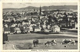 T2/T3 1935 Klatovy, Brána Sumavy / The Gate Of Sumava, Cattle (EK) - Otros & Sin Clasificación