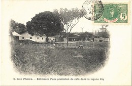 * T1/T2 Cote D'Ivoire, Ivory Coast; Bátiments D'une Plantation De Café Dans La Lagune Aby / Coffee Plantation In The Aby - Otros & Sin Clasificación