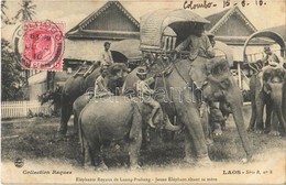 T1/T2 Luang-Prabang, Eléphants Royaux - Jeune Éléphant Tetant Sa Mére / Royal Elephants, TCV Card - Otros & Sin Clasificación