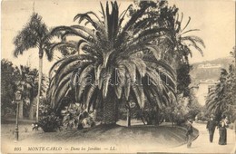 * T2 Monte-Carlo, Dans Les Jardins / Garden, Palm Tree - Otros & Sin Clasificación