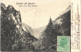 T2/T3 Busteni, Pripor De Pe Valea Cerbului / Valley. TCV Card  (EK) - Otros & Sin Clasificación