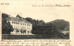 T2 1903 Rogaska Slatina, Rohitsch-Sauerbrunn; Villa Moller. R. Mosinger 766. - Sonstige & Ohne Zuordnung