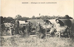 ** T1 Saigon, Ho Chi Minh City; Attelages De Boeufs Cochinchinois / Ox Carts - Sonstige & Ohne Zuordnung