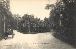 ** T1 Saigon, Ho Chi Minh City; Une Allée Du Jardin Botanique De Saigon / Botanical Garden - Other & Unclassified