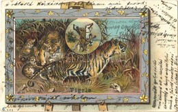 T2/T3 1900 Tigris / Tiger, Art Nouveau, Litho  (EK) - Ohne Zuordnung