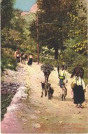 * T3 1912 Seljaci Iz Grblja Kod Kotora / Landleute Aus Zuppa Bei Cattaro / Montenegrin Folklore, Peasants From Grbalj (n - Sin Clasificación
