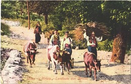 T2/T3 1912 Seljaci Iz Krtola / Landleute Aus Krtole / Montenegrin Folklore, Peasants From Krtole, Cattle (EK) - Ohne Zuordnung