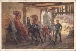 * T3 1916 Beschlagmeister Peter Hodbod Der K. K. Landwehr-Feldhaubitzdivision Nr. 13 Wird Beim Pferdebeschlagen Von Fein - Ohne Zuordnung