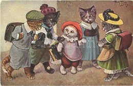 ** T2 Cat School. T.S.N. Serie 1879. S: Arthur Thiele - Ohne Zuordnung
