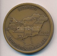 Csúcs Ferenc (1905-1999) 1969. 'Budapesti Éremgyűjtők Egyesülete' Kétoldalas Br Emlékérem (42,5mm) T:1-
Adamo BP1 - Ohne Zuordnung