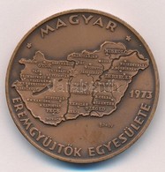 Csúcs Viktória (1934-) 1973. 'MÉE Budapest - Magyarország' Br Tagsági Emlékérem (42,5mm) T:1 
Adamo BP5 - Ohne Zuordnung