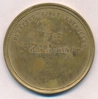 1928. 'Budapest Sport Egyesület - B.S.E. Csillag Tura út 1928' Aranyozott Br Emlékérem (61mm) T:2 - Sin Clasificación