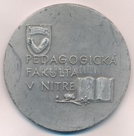 Csehszlovákia 1959. 'PEDAGOGICKÁ FAKULTA V NITRE (Nyitrai Pedagógiai Fakultáns)' Ezüstözött Br Plakett (70mm) T:1- Ezüst - Sin Clasificación