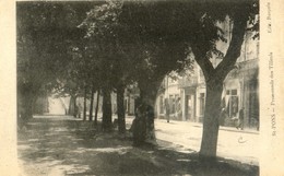 34 - Saint Pons De Thomières - Promenade Des Tilleuls - Saint-Pons-de-Thomières