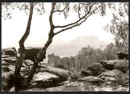 D3436 - TOP Sächsische Schweiz Lilienstein - Verlag Bild Und Heimat Reichenbach - Schmilka