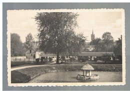 JM31.01 /  CPA / CHATEAU DE FALLAIS " QUIETUDE " - VUE VERS LA FERME - Braives