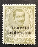 Trentino-Alto Adige 1918 Sa. 25 = 260€ Mint * VF „VENEZIA TRIDENTINA“ (1914-18 War Italy Regno D‘ Italia Italie - Trento