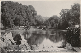 CHELTENHAM - N° 366 99 - THE LAKE LAME PITVILLE GARDENS - Cheltenham