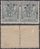 LUXEMBOURG Yv SERVICE 59a EN PAIRE DOUBLE SURCHARGE CHARNIERE  TB (DD) DC-6469 - Service