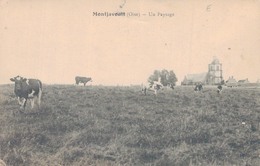 60 - MONTJAVOULT / PAYSAGE - VACHES AU PATURAGE - Montjavoult