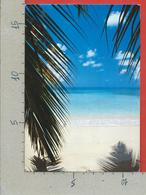 CARTOLINA VG ANTIGUA E BARBUDA - ANTIGUA - Dreams - 12 X 17 - 1992 - Antigua E Barbuda