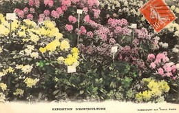 NORMANDIE - EXPOSITION D'HORTICULTURE - Fleurs Rhododendrons - 1914 - Basse-Normandie
