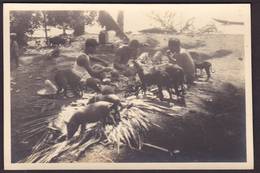 CPA Tahiti Océanie Océania Polynésie Carte Photo René Moreau RPPC Non Circulé Paul Isaac Nordmann - Tahiti