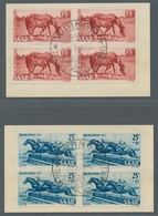 Saarland (1947/56): 1949, "Tag Des Pferdes", Zentral Mit ESST Gestempelter Viererblocksatz Auf Brief - Cartas & Documentos