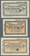 Deutschland - Notgeld - Schleswig-Holstein: FLENSBURG; 1923, Partie Mit Den Notgeldscheinen Der "Fle - [11] Emisiones Locales