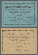 Deutschland - Notgeld - Ehemalige Ostgebiete: FALKENBURG IN POMMERN; 1917-1923, Partie Von 20 Notgel - Other & Unclassified