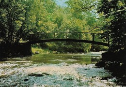 89 Vallée Du Cousin Le Pont Des Gardes (2 Scans) - Unclassified