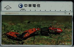 CHINA 1996 PHONECARD INSECTS USED VF!! - Sonstige & Ohne Zuordnung