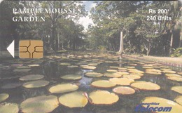 MAURITIUS ISLAND - Pamplemousses Garden 2, Chip GEM5 (Red), Tirage 30.000, 04/03, Used - Mauritius