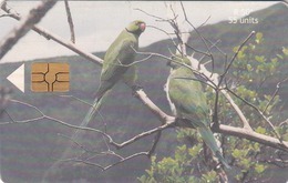 MAURITIUS ISLAND - Echo Parakeet (parrots), 55 U , Tirage 60.000, 08/01, Used - Mauritius