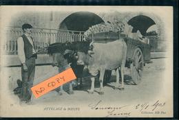 Attelage De Boeufs Fermier Agriculteur Paysan Char à Bœuf  Pyrénées Atlantiques ? Carte Pionnière 1903 Ed Neurdein - Teams