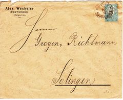 1896 BULGARIA SMALL LION 25 ST. VIENNA PRINT ON COVER TO GERMANY. - Covers & Documents