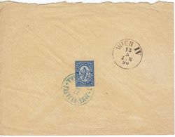 1890 BULGARIA LARGE LION 25 ST. ON COVER FROM LOM PALANKA TO VIENNA, AUSTRIA. - Cartas & Documentos