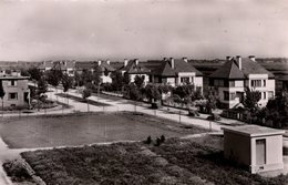 T6 - CPSM - JURA - Carte Photo - TAVAUX CITES - Un Coin Des Cités - Tavaux