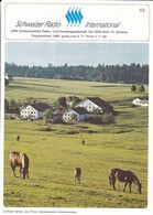 Schweizer Radio International - Programmheft 1980 - 8 Seiten  (47020) - Programs