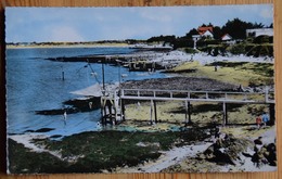 44 : La Plaine-sur-Mer - Le Port Giraud - Les Pêcheries - Animée : Petite Animation - Colorisée - (n°17090) - La-Plaine-sur-Mer