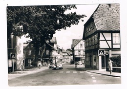 D-10496   DANNENBERG : Tor Zuum Naturpark Elbufer-Drawehn - Dannenberg