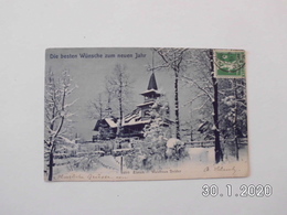 Zürich. - Waldhaus Dolder. (30 -12 - 1904) - Wald