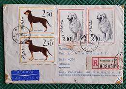 POLOGNE Chiens, Chien, Dog, Perro, Hunde, Yvert 1232/40 Sur Lettre Ayant Circulée 1963 Pour Le Cameroun (2 Scans) - Hunde