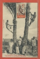 GABON CARTE POSTALE TIMBREE DE 1912 DE MAYUNGA - Brieven En Documenten