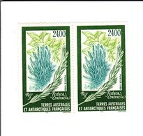 Terres Australes Et Antarctiques Françaises - N° 244 - Flore - Festuca Contracta - Neuf - Bloc De 2 Timbres - Ungebraucht