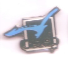 D196 Pin's AFSEP Association Française Des Sclérosés En Plaques France Handicap Oiseau Mouette Bird Achat Immédiat - Geneeskunde