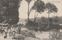 29 - LA FORET DE FOUESNANT - Le Chemin Creux De La Cale - La Forêt-Fouesnant