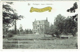 Maldegem. Kasteel Reesinge. - Maldegem