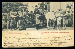 RADNÓT 1903. Uradalom, Cukorrépa Betakarító Munkások, Régi Képeslap - Hungary